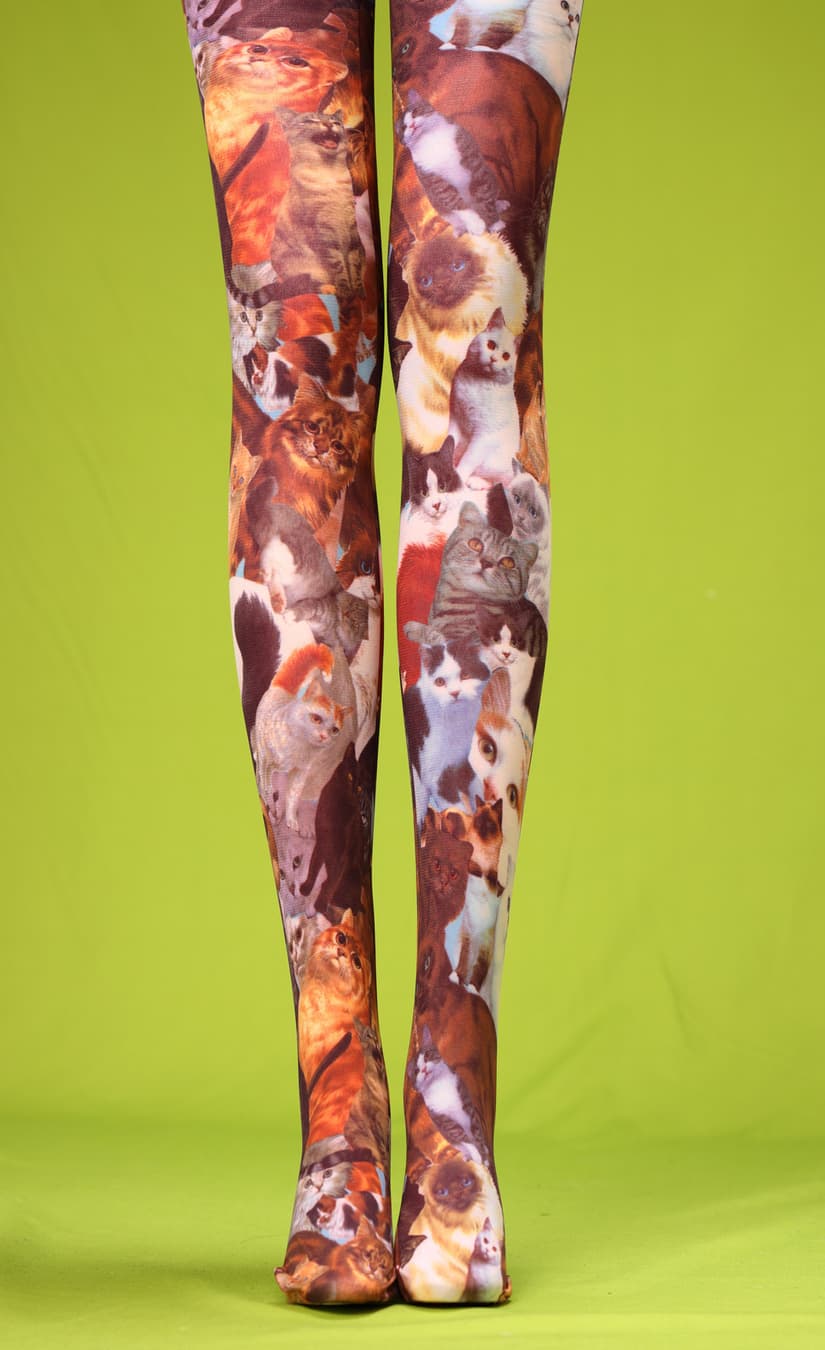 Kitty tights